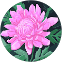 Monique Verjat profile picture